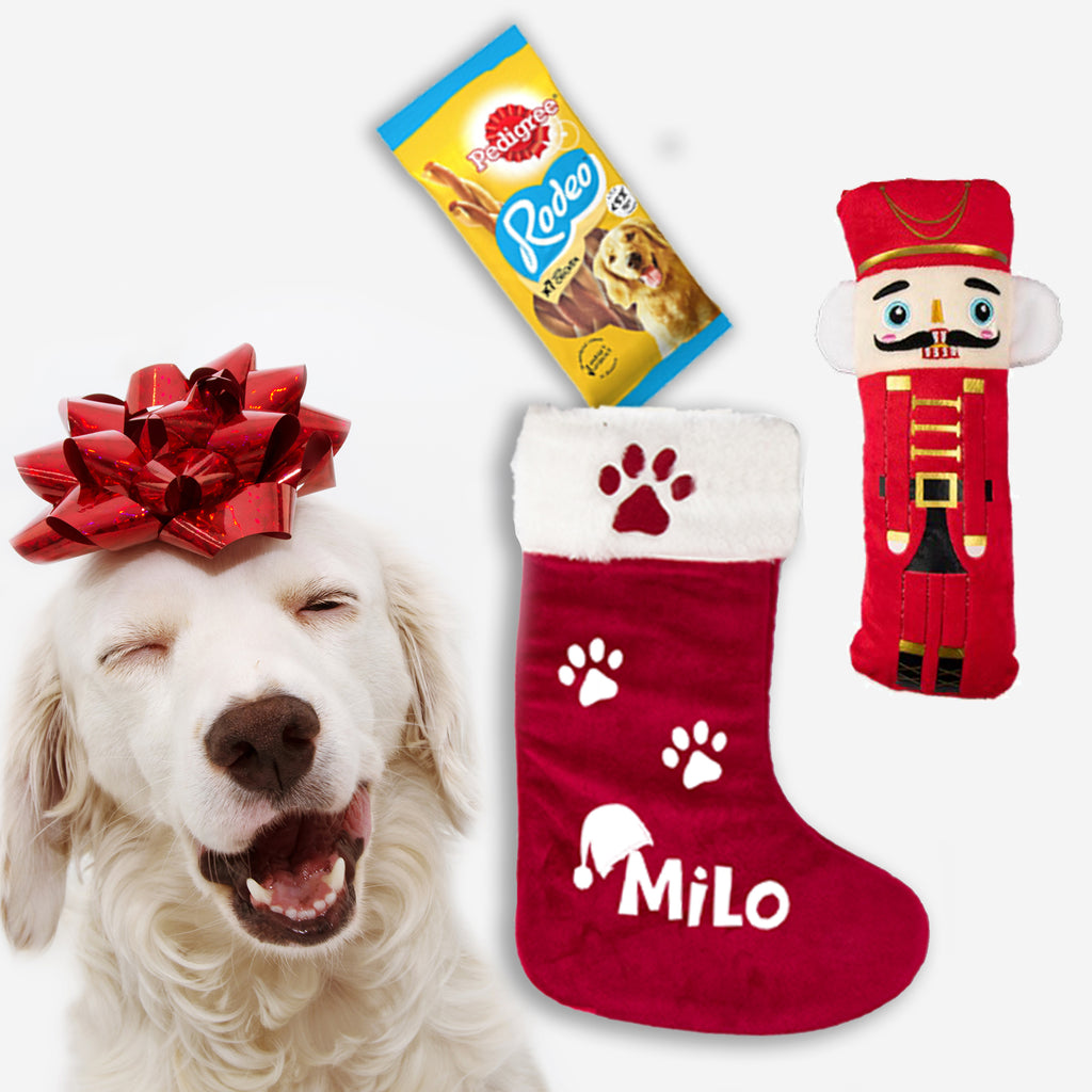 a white dog wearing a red christmas stocking and a red stocking with a