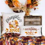 Pumpkin Spice Everything Nice Cushion